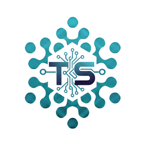 Techversoft Logo